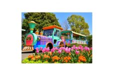 安城産業文化公園デンパーク　入園チケット(4名様分)【1116228】