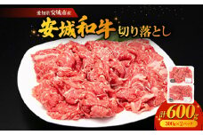 愛知県安城市産　安城和牛　切り落とし　300g×2パック【1141447】