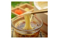 和泉手延べ麺　半生もどし長そうめん・乾ひやむぎ(計19人前)　たつみ麺店(STSSD)【1230118】