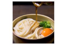 和泉手延べ麺　半生もどし長うどん15人前　たつみ麺店(SDNU5)【1255049】