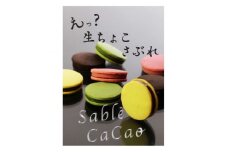 デ・レーヴのサブレ・カカオ　8個入【1283388】