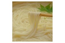 ＜期間限定＞和泉手延べ麺　半生もどし長そうめん　たつみ麺店【1297419】