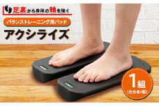 アクシライズ【1331722】