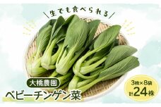 大橋農園のベビーチンゲン菜:3株入り×8袋【1366726】