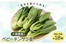 大橋農園のベビーチンゲン菜:3株入り×6袋【1364665】