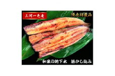 三河一色産　うなぎ白焼き　2尾【1367511】