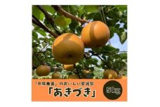 安城梨　あきづき　5kg(大玉)【1421798】