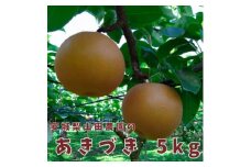 安城梨山田農園のあきづき　5kg＜大玉＞【1342673】