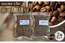 ＜毎月定期便＞お楽しみ　厳選珈琲豆100g(豆のまま)×2種類セット全3回【4004562】