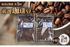 ＜毎月定期便＞お楽しみ　厳選珈琲豆100g　 粉(中挽き)×2種類セット全3回【4004563】