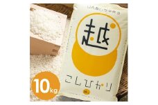 ＜毎月定期便＞愛知県産コシヒカリ白米10kg定期便全6回【4006021】