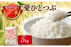 令和6年産 愛知県産 ブランド米 愛ひとつぶ 5kg　パールライス 安城工場精米【1469577】