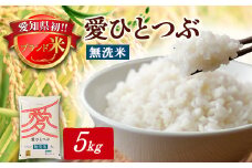 令和6年産　愛知県産 ブランド米 無洗米　愛ひとつぶ 5kg　パールライス 安城工場精米【1469576】
