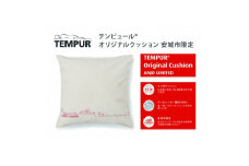 テンピュール(R) オリジナル クッション 安城市限定＜73014497＞【1467903】