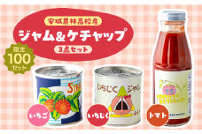 限定100セット＜安城農林高校産＞高校生が作ったいちごジャム・いちじくジャム・トマトケチャップ【1480183】