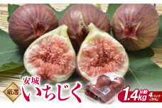 厳選　安城いちじく　約1.4kg(350g×4パック)【1527653】