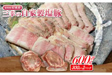三幸の自家製塩豚　300g×2パック【1566227】