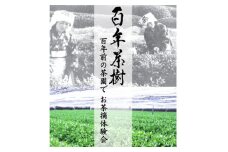 ＜限定開催　2025年4月29日(火)祝日　午後の部＞百年前の茶園でお茶摘み体験会【1603552】