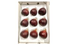皮がおいしい栽培期間中農薬不使用の完熟いちじく　約1kg　愛知県安城産【1619339】