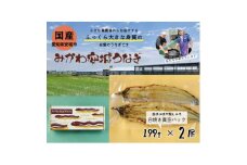 みかわ安城うなぎ　大きな白焼き　2尾【1631472】