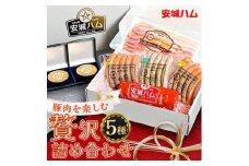 「豚肉を楽しむ」 安城ハム ソーセージ等 5種贅沢詰め合わせ!DJセット　デンパークハム工房内製造【1632733】