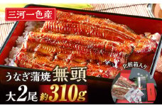 【通常発送】三河一色産　うなぎ蒲焼　大サイズ2尾　無頭（1尾約155ｇ）　国産　M044-19 うなぎ 三河 愛知 一色 日本産 鰻 蒲焼き うなぎ蒲焼 鰻蒲焼き うな丼 うな重 