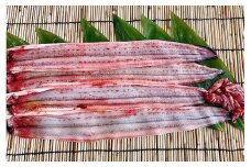 活きを開いてすぐ発送♪生うなぎ開き3～5本(約700g)ご家庭で蒲焼、白焼きに！・K188-25