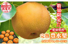 【数量限定】〈きらり園〉完熟　豊水梨　5㎏・K086-17-1　愛知県産 西尾市産 国産 果物 フルーツ ナシ なし 完熟梨 もぎたて 採れたて