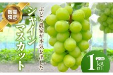 【数量限定】シャインマスカット(2～3房)1kg以上・E001-13