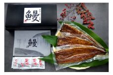 一色産　うなぎ蒲焼３尾　無頭　国産　T053-24