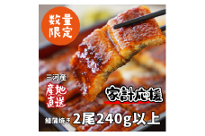【通常発送】生産者｢愛知養魚｣がお届けする三河産うなぎ「蒲焼冷凍2尾」(合計240g～250g) ≪冷凍≫ 鰻 ウナギ 国産うなぎ 蒲焼き 愛知県 西尾市 たれ付き 海鮮 惣菜生産者｢愛知養魚｣がお届け 丑の日 土用の丑の日 ・A092-12
