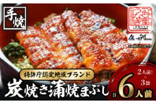 【通常発送】一色産炭焼き蒲焼まぶし2人前セット×3袋・I021-16-1