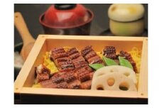 三河一色産うなぎ煮炙り焼き3尾（約180ｇ/尾）・K206-24