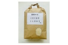 【令和7年産】西尾産翔米（こしひかり）5㎏・K213-18