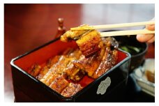 三河一色産　うなぎ手焼き【蒲焼パック4尾(1尾150g～180g)】・U035-44