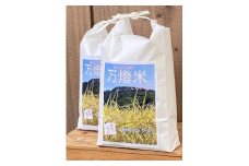 ＜万燈米＞【こしひかり 3.5kg×2袋】・I027-13-1
