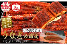 国産 うなぎ 三河産【定期便】「超おばけ蒲焼き２尾（合計500ｇ以上）」×6回（隔月1回　1年間）A134-126  うなぎ 本格 鰻 ウナギ 蒲焼 愛知県 西尾市 愛知養魚 惣菜 海鮮