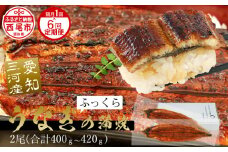 国産 うなぎ 三河産【定期便】「超特大蒲焼き2尾（合計400～420ｇ）」×6回（隔月1回　1年間）A133-114  うなぎ 国産 本格 鰻 ウナギ 蒲焼 愛知県 西尾市 愛知養魚