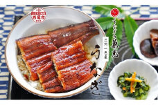 愛知県三河一色産うなぎ蒲焼き　超特大サイズ2尾(合計500g以上) 国産 蒲焼 タレ付き うなぎの兼光 うなぎ 鰻 ウナギ たれ セット 冷凍 簡単 時短 ギフト ひつまぶし うなぎ丼 うなぎ重 人気 ・U039-20