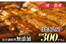 手焼き三河一色産1年うなぎ蒲焼2尾(約300g)・A140-17