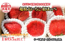 超特大いちご(紅ほっぺ)　460g以上(6～7粒、１粒65g以上)・O037-17