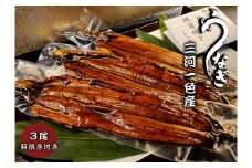 三河一色うなぎ　蒲焼3尾（合計480g以上）鰻肝付き・F011-24