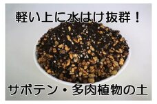 サボテン・多肉植物専用メーデル培養土10L・A150-13