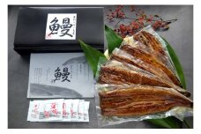 一色産うなぎ蒲焼 無頭（4～6尾　合計600g以上）　国産・T055-29 愛知県産 西尾市産 三河一色産 たつき ウナギ 鰻