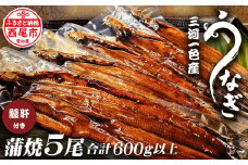三河一色うなぎ蒲焼き5尾（中サイズ）肝焼き付き・F018-31
