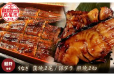 三河一色うなぎ蒲焼き2尾(中サイズ)、銀ダラ2切　肝焼き付き・F022-19
