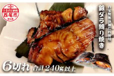 銀ダラ照り焼き6切れ・F020-17