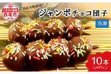 ジャンボチョコ団子10本セット(冷凍)・F023-14