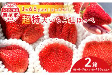 超特大いちご(紅ほっぺ)　460g以上(6～7粒、1粒65g以上) ×2箱・O043