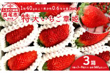 特大いちご(章姫)　360g以上(7～9粒、1粒40g以上)×3箱 ・O045-26